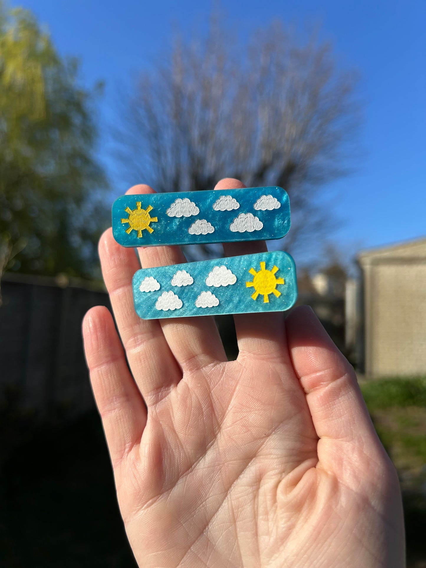 Sunshine Hair Slides