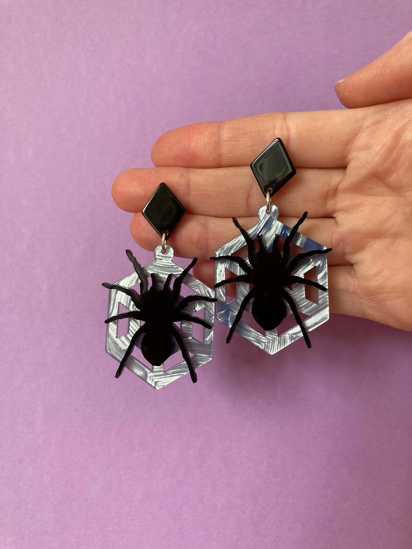 Spiders